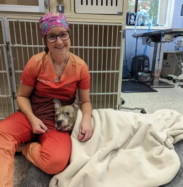 dog wrapped in blanket with vet