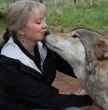 woman and grey wolf dog face to face