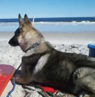 Nicholas at the beach