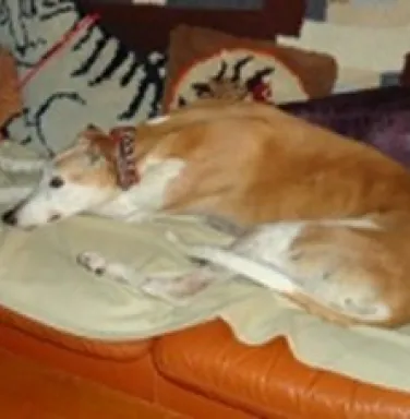 Vera laying on her bed