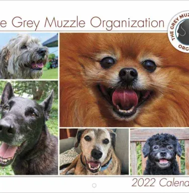 Grey Muzzle 2022 Calender 