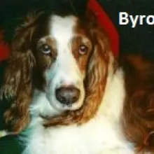 Byron