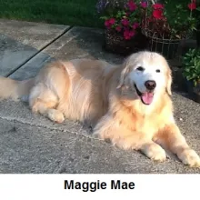 Maggie Mae