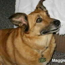 Maggie