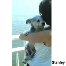 Stanley