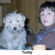 Teddy