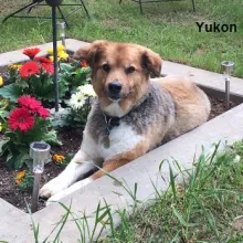 Yukon