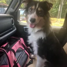 Sally riding in car