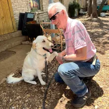 dog and man shaking hand/ paw