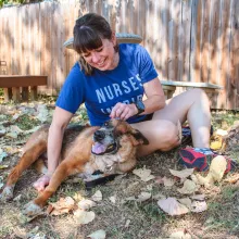 dog and woman playing in the grass