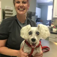 Vet tech and poodle