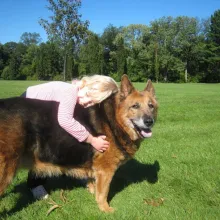 Willow, a little girl, and her 14-year-old dog Zoe