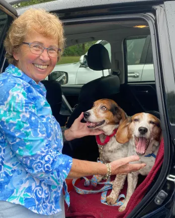 two dogs in a car