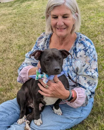 mixed breed dog and person