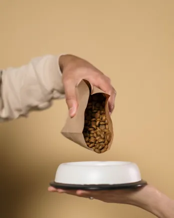 Pouring dog food into a bowl