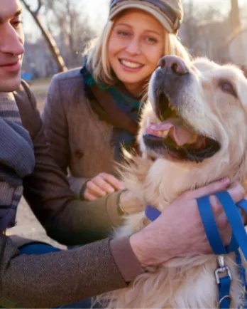 Dog Getting Attention Out for a Walk