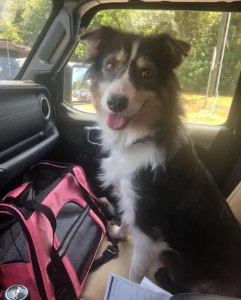 Sally riding in car