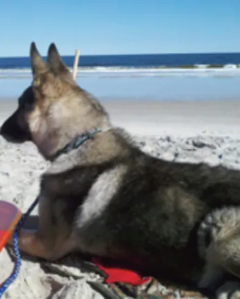 Nicholas at the beach