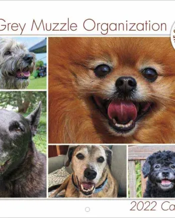 Grey Muzzle 2022 Calender 