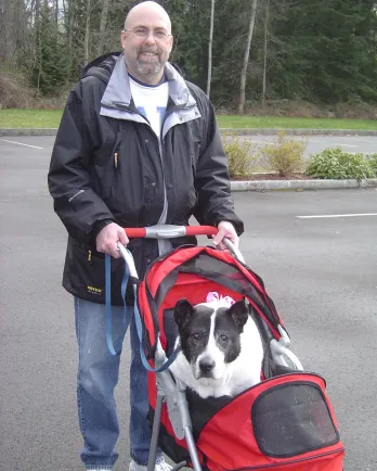 Sassy, being pushed in a stroller by her new owner