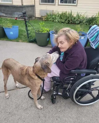 dog in nursing home