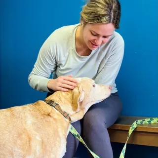 tan dog being pet by woman