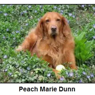 Peach Marie Dunn