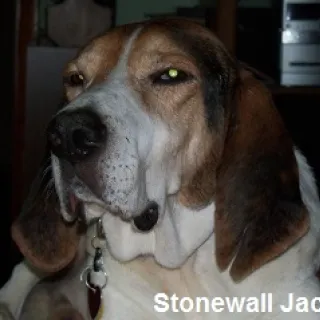 Stonewall Jackson