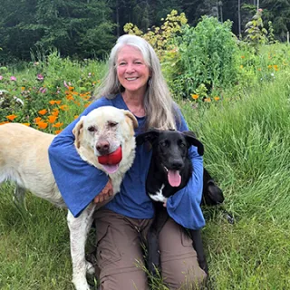 white haired woman with two dogs in a field