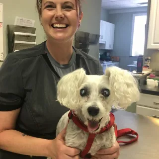 Vet tech and poodle